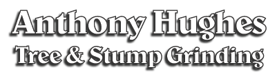 Anthony Hughes Tree & Stump Grinding Logo