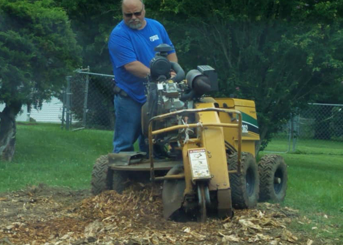 Stump grinding in action