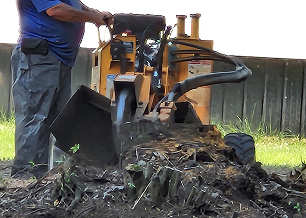 Anthony Hughes Tree Service employee using a machine to remove a tree stump.