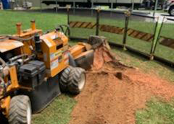 stump grinding with machinery.